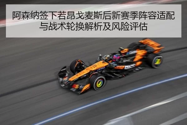 阿森纳签下若昂戈麦斯后新赛季阵容适配与战术轮换解析及风险评估