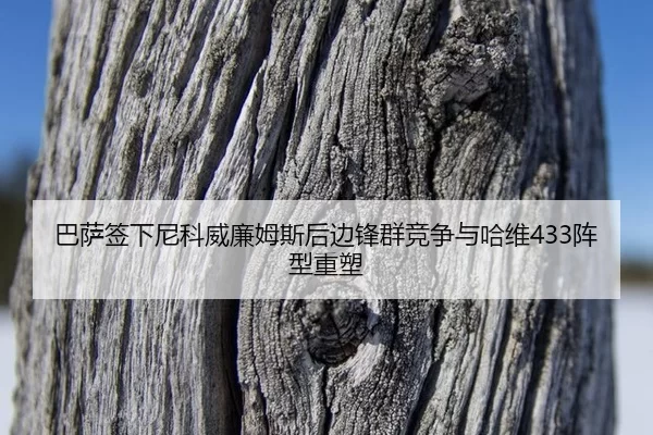 巴萨签下尼科威廉姆斯后边锋群竞争与哈维433阵型重塑